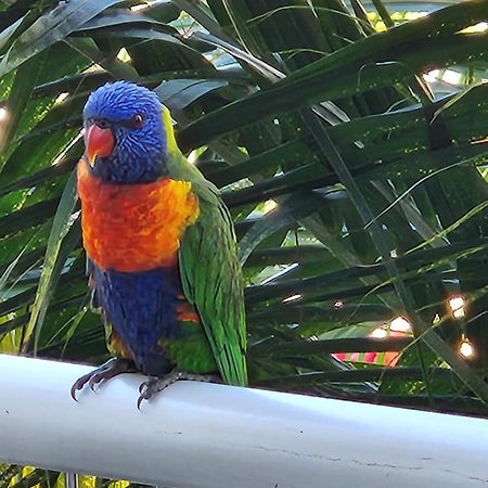 1213/146 Sooning Street, Nelly Bay, Magnetic Island. Qld 4819. One Bright Point. Appartement Buitenkant foto